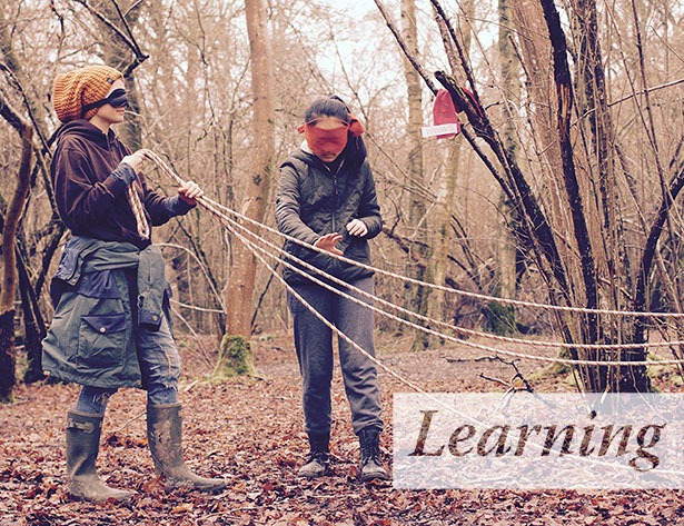 Learning Learning at Brockwood Park School