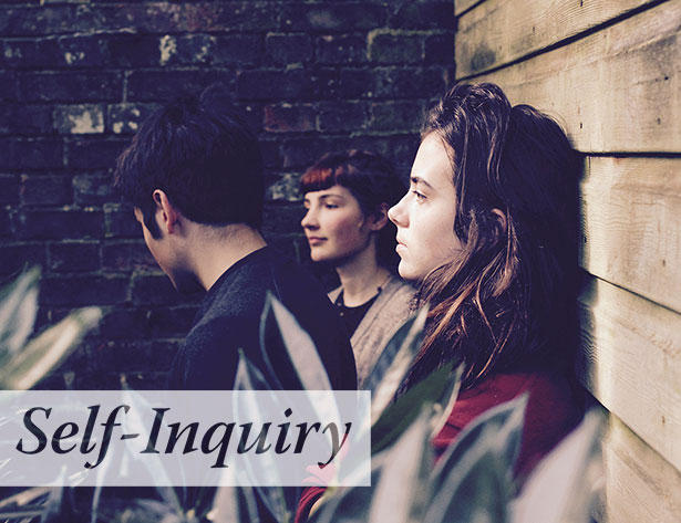 Brockwood Park School — Self-Inquiry Students at Brockwood Park School observing the surroundings